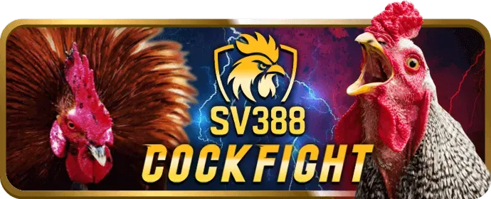 Cá cược bóng đá hy88 nhà cái